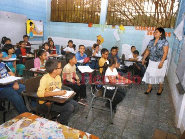 Son seis colegios magisteriales involucrados en la decisión de derogar estos reglamentos.