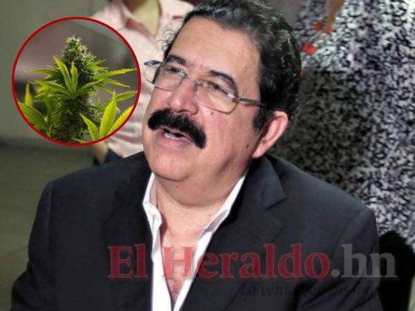 El asesor presidencial aseguró que Honduras no será un país exportador de marihuana.