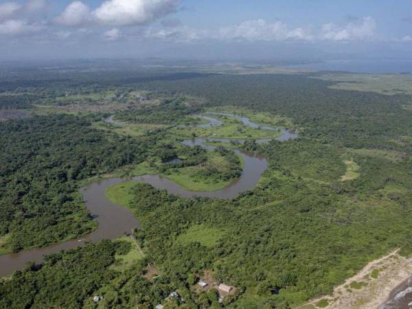 Militares que resguardaban la zona núcleo del Río Plátano fueron afectados por un brote de rotavirus.