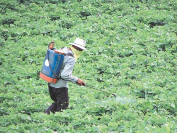 En el acuerdo no detallan cuántos productos en total abarca cada ítem o partida, por lo que resulta difícil definir cuántos son en total los bienes exonerados.