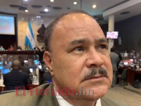 José Manuel Rodríguez, diputado suplente del doctor Marco Eliud Girón en el Congreso Nacional.