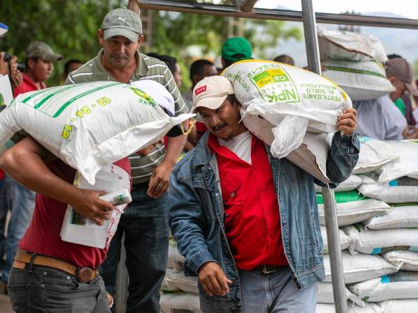 <i>Productores de la zona del corredor seco reciben semillas mejoradas, como parte del Bono Tecnológico Productivo.</i>