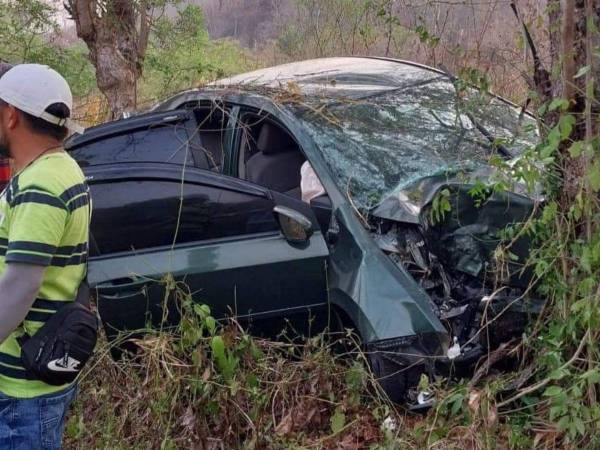 El automotor impactó fuertemente contra un árbol, lo que provocó la muerte de la conductora.