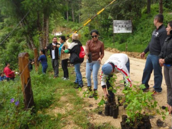 Desde las seis de la mañana comenzó la gran iniciativa de plantar 1,500 árboles en La Tigra.