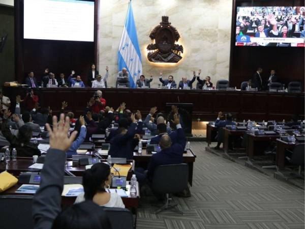 Imagen tomada durante la sesión legislativa de este miércoles 24 de abril.