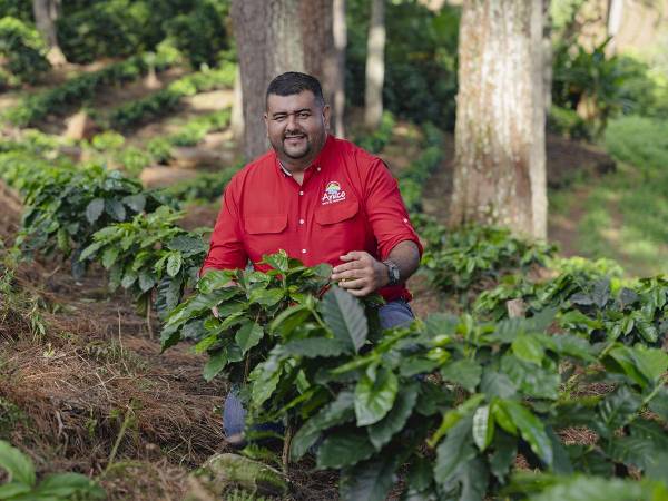 Aruco ha georreferenciado 227 fincas para asegurar su cumplimiento con estándares europeos.