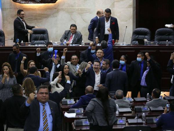 Los diputados del Congreso Nacional pueden interpelar al jefe del Estado Mayor Conjunto de las Fuerzas Armadas cuando lo estimen conveniente, según el comisionado general en condición de retiro, Leandro Osorio.