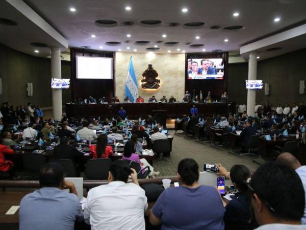 Los ascensos se decidieron luego de una dispensa de debates solicitada por la presidenta de la Comisión de Defensa, Isis Cuellar.