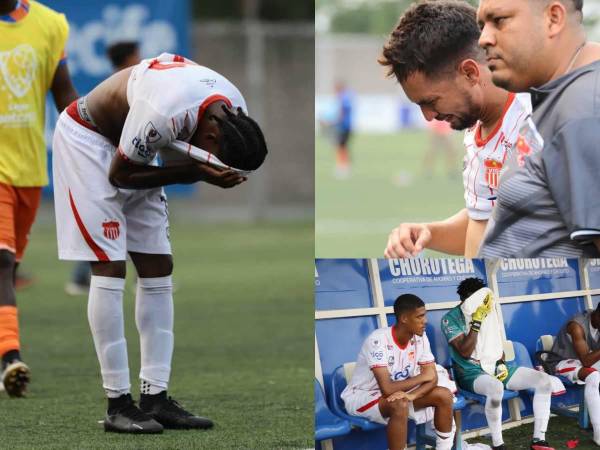 El Vida se fue a segunda división por primera vez en la historia, los Lobos de la UPNFM le ganaron la serie 3-1