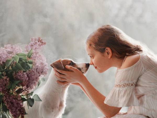 Los perros no son solo mascotas; son miembros de la familia que brindan amor, compañía y beneficios para la salud física y emocional.