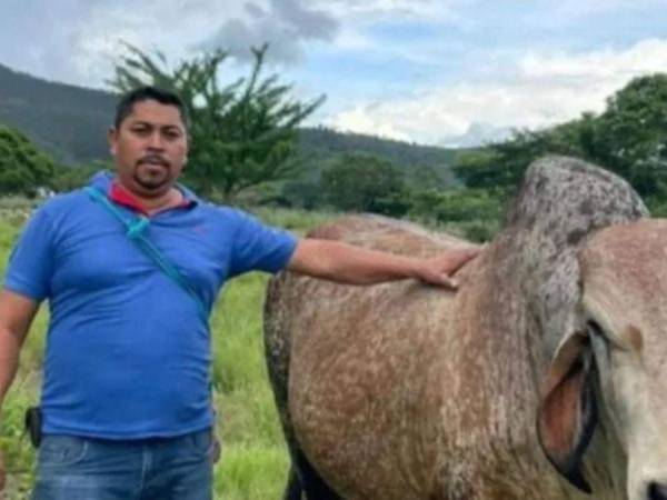 José Alberto Perdomo García era un reconocido empresario que se dedicaba al rubro de transporte de carga pesado en Intibucá, así como a la ganadería.