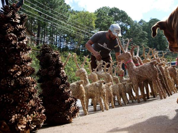 Muchos renos creados con delicadeza a mano esperan en las principales salidas y entradas de la capital para adornar las casas en Navidad. Estos adornos, elaborados con esmero, destacan en cada rincón de la ciudad, anticipando la llegada de la festividad más esperada del año.