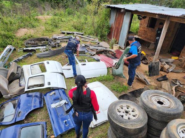 En el operativo se recuperó un vehículo con series de motor y chasis adulteradas, además de varias piezas de autos robados. Este logro se suma a la captura del presunto cabecilla de la banda, detenido un día antes en el Cerro de Uyuca. A continuación los hallazgos.