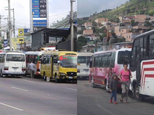 Tras haber puesto un ultimátum semanas atrás exigiendo el pago del subsidio que se les adeuda, los dirigentes del transporte ordenaron la paralización de sus unidades, acción que comenzó la mañana de este lunes. Más detalles a continuación.