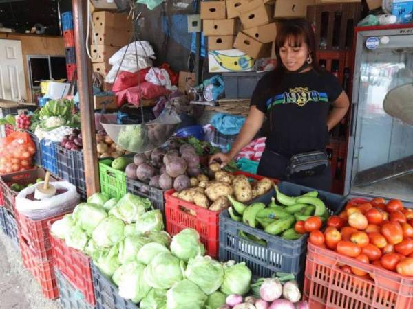 De 914.48 lempiras es la diferencia entre el costo de la canasta de alimentos a junio de 2024 con el salario mínimo promedio que para este año es de L 13,156.53.