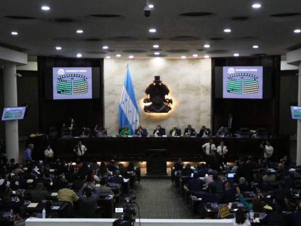 El canciller remitió petición a la ONU para desclasificar la información referente a la CICIH.