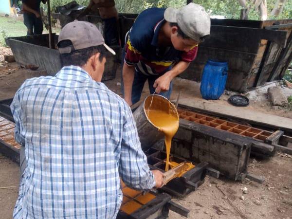 Municipios como Cantarranas y la Villa de San Francisco son algunos lugares cercanos al Distrito Central donde se produce dulce de rapadura. Por ser un producto estacional, sube de precio en los diferentes mercados; sin embargo, las mayores ganancias las adquieren los intermediarios, más conocidos como coyotes.