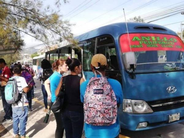 Transportistas anunciaron paro de transporte.