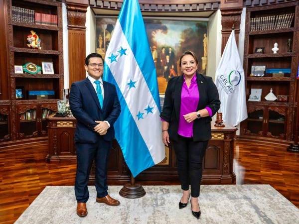 La presidenta Xiomara Castro juramentó este lunes a Wilmer Javier Fernández.