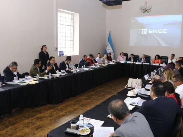 La semana pasada el Congreso Nacional recibió las adendas de energía, las cuales serán socializadas con sectores sociales y empresariales.