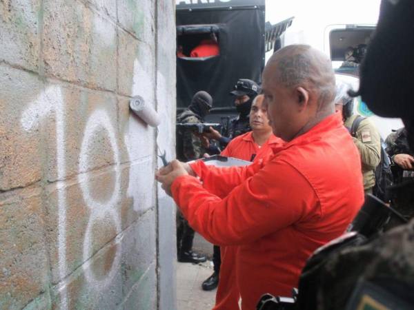 Un grupo de internos del Centro Penitenciario Nacional de Támara participaron este lunes en una jornada de eliminación de grafitis de la pandilla 18 y la MS-13 en Comayagüela y Tegucigalpa, bajo la supervisión de la Policía Militar del Orden Público. A continuación