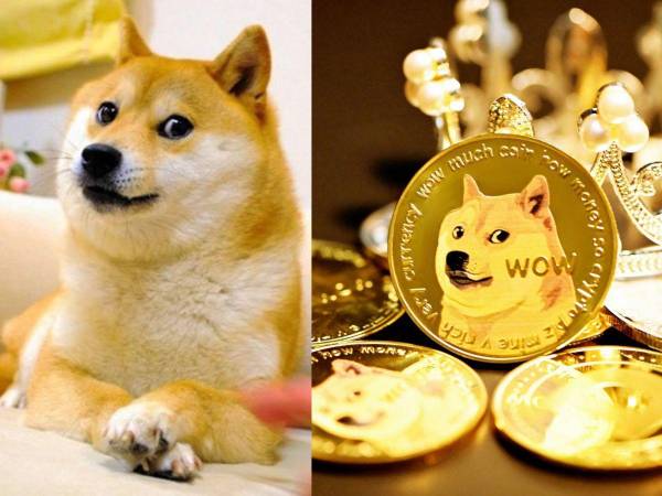 Kasobu, la perra japonesa detrás de los memes Doge y Dogecoin, murió el pasado viernes 24 de mayo. Así lo informó su dueña, Atsuko Sato. La noticia trascendió rápidamente en redes sociales y generó conmoción, pues Kasobu era una mascota muy popular. A continuación te brindamos algunos detalles.