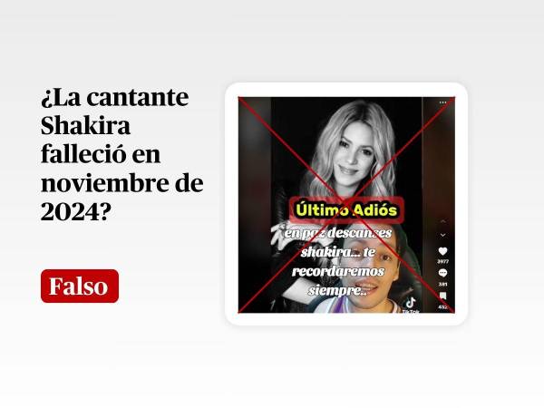 Captura de pantalla a un video que circula en TikTok , hecha el 28 de noviembre de 2024