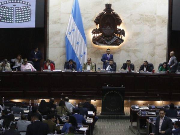 El anteproyecto fue presentado ante el Congreso Nacional la noche del pasado miércoles