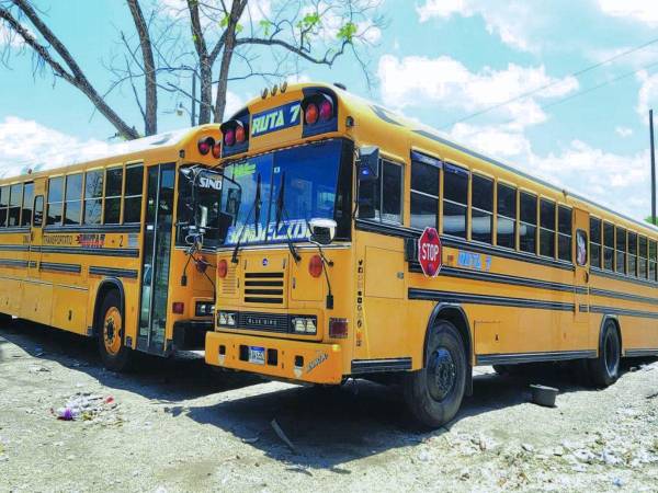 Los buses permanecieron sin circular como medida de seguridad para los transportistas.