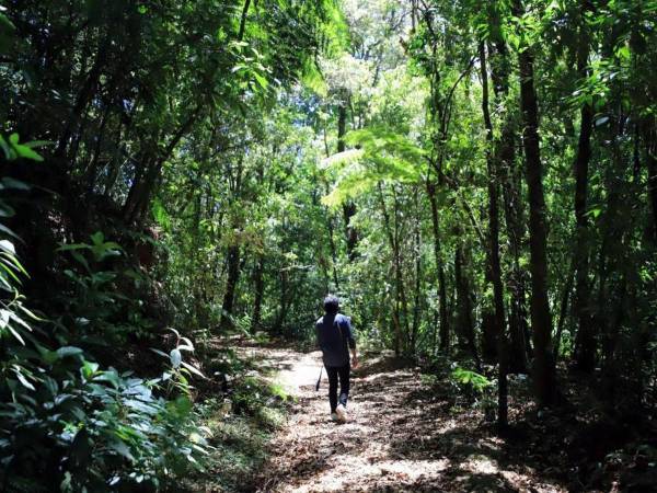 Parque Nacional La Tigra y su abundante vegetación.