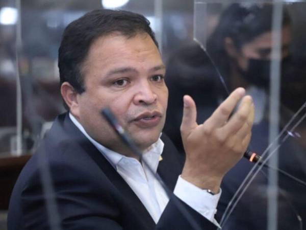 El diputado, Jari Dixon interpuso una denuncia en contra de diputados que votaron a favor de las ZEDE.