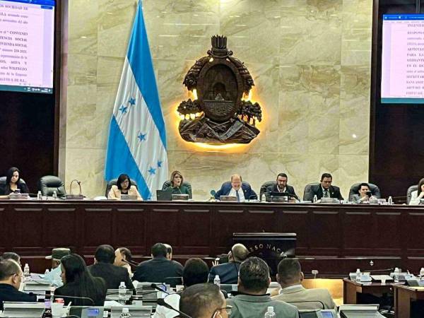 El Congreso Nacional (CN) sesionó por última vez el jueves 24 de octubre y desde esa fecha las actividades en la cámara legislativa están suspendidas.