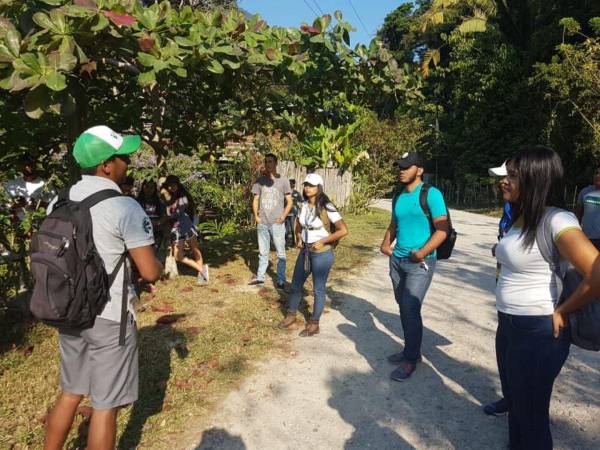 Ecoturismo es de las pocas carreras en la UNAH que se puede cursar totalmente en línea.