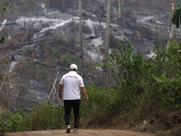 Se estableció una mesa de trabajo con reuniones mensuales, y se suspenderán temporalmente los desalojos en el Parque Nacional Patuca hasta el 23 de septiembre, siempre que no haya deforestación.