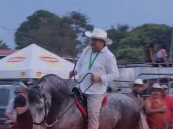 El diputado cayó al suelo luego de que el caballo levantó sus patas delanteras.