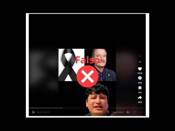 Captura de pantalla a una publicación en TikTok realizada el 1 de agosto de 2024.