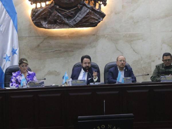 La comisión de dictamen anunció el retiro del artículo 3 del presupuesto del CNE.