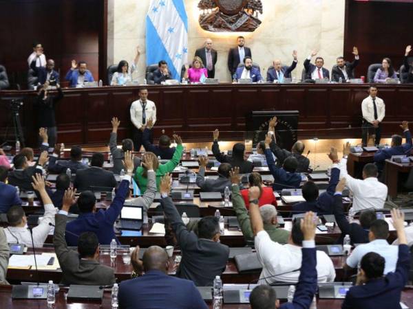 Tras la renuncia de Carlos Zelaya, son necesarios 65 votos para elegir al nuevo secretario del Congreso Nacional.