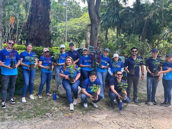 Voluntarios de Tigo plantando árboles en un vivero como parte de la iniciativa Juntos con Tigo por una Honduras Verde.