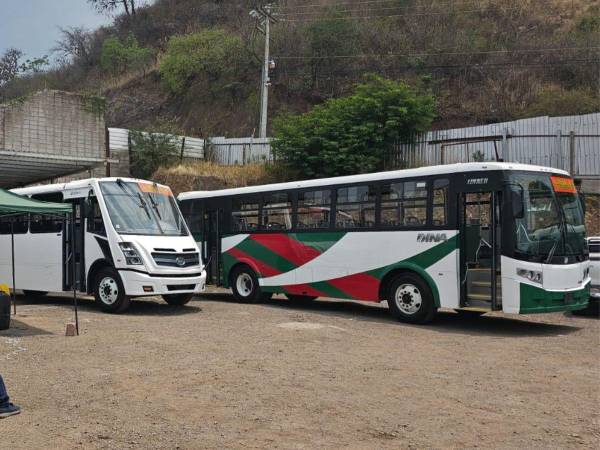 El sector transporte avanza en su proyecto de modernización en el Distrito Central.