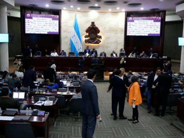 El embajador de Cuba en Honduras también arremetió contra diputado liberal por no apoyar la iniciativa.