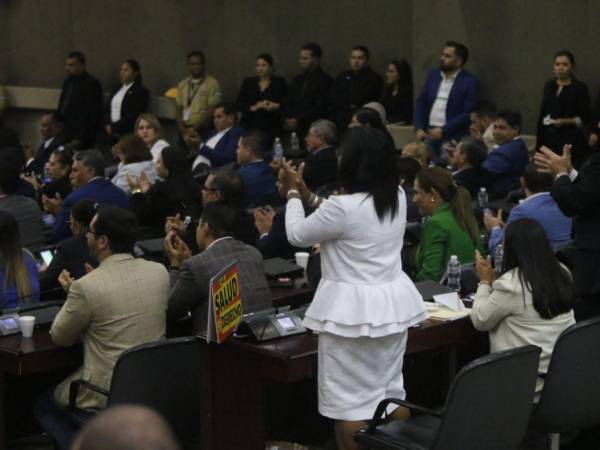 La oposición celebró al grito de “¡Sí se pudo!” la decisión de eliminar el artículo 3 del presupuesto electoral.