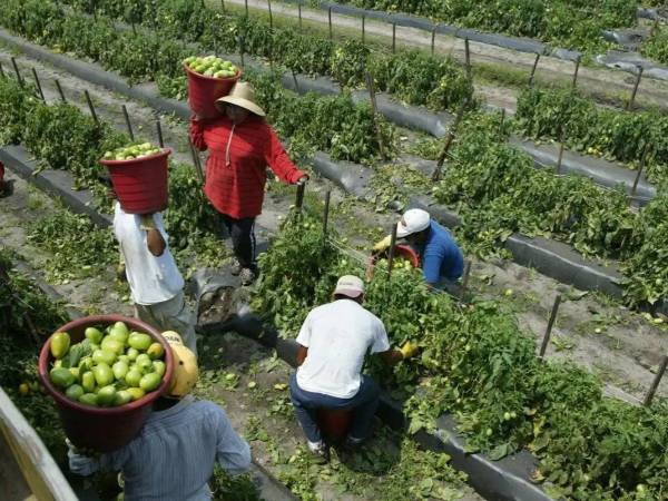 Trabajos en industria manufacturera, la agricultura o los servicios son parte de las oferta en el estado de Nebraska.