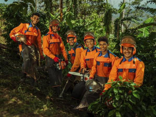 Cuadrillas de SYMA listas para transformar el sector cafetalero con herramientas STIHL de última generación.