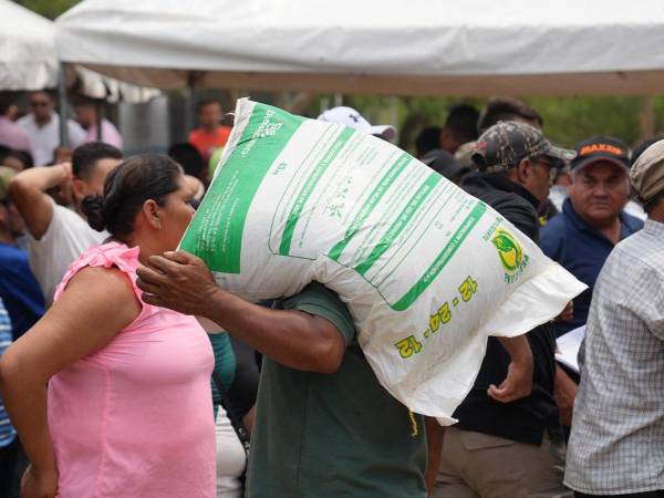 <i>Insumos recibidos, listos para comenzar las siembras de primera y postrera.</i>