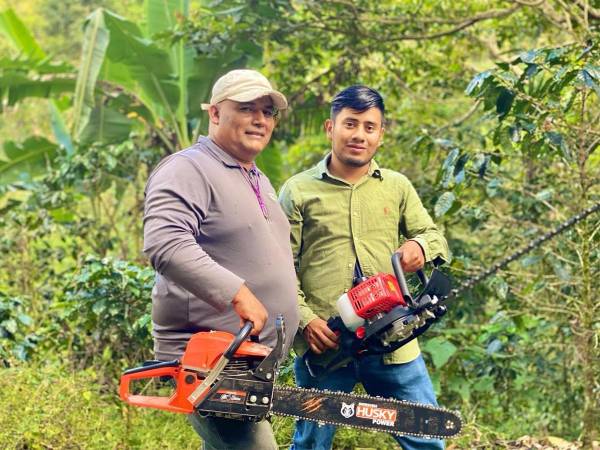 Fuentes gubernamentales han informado que los 15 departamentos productores de café de Honduras serán beneficiados.