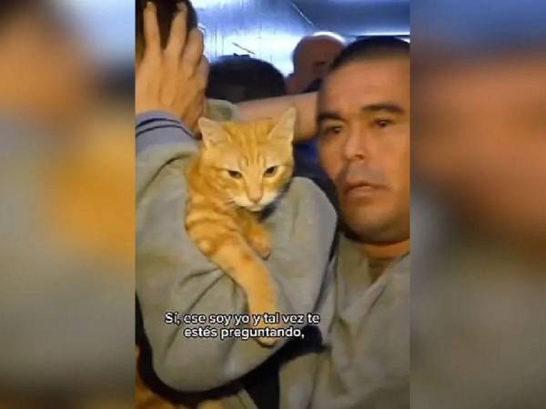 El felino fue captado en brazos de uno de los reos durante una requisa.