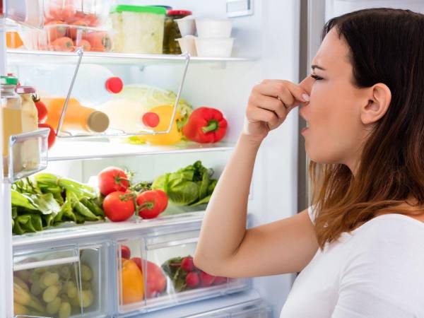 Antes de iniciar el proceso de limpieza, desconecte su refrigerador y retire todos los alimentos.