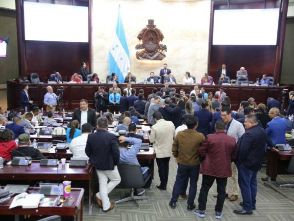 El presidente del Congreso Nacional, Luis Redondo, suspendió la sesión sin entrar en detalles de cuándo volverán a ser convocados los diputados a legislar.