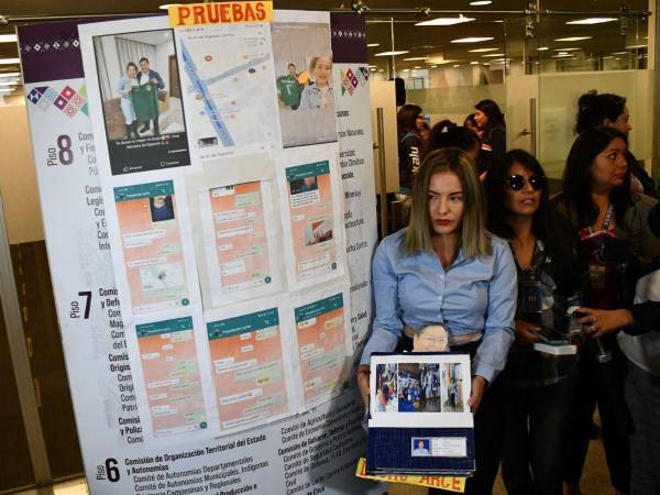 La mujer presentó, en la sede del Legislativo boliviano, fotografías del presidente de Bolivia, Luis Arce, como pruebas ante una denuncia por supuesto acoso y abuso de poder.